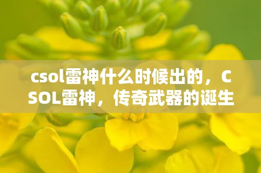 csol雷神什么时候出的，CSOL雷神，传奇武器的诞生与影响
