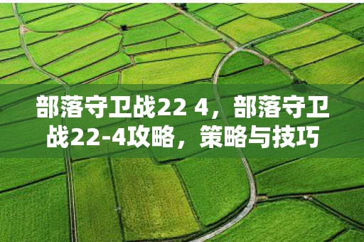 部落守卫战22 4，部落守卫战22-4攻略，策略与技巧大揭秘