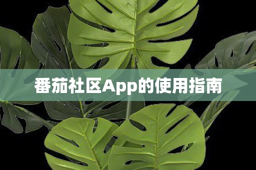 番茄社区App的使用指南图片
