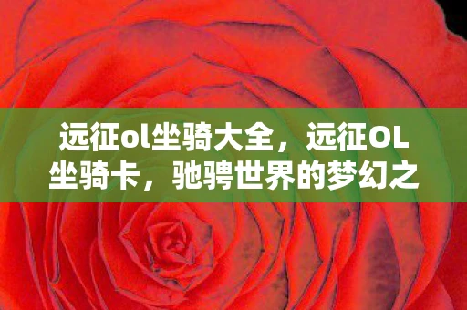 远征ol坐骑大全，远征OL坐骑卡，驰骋世界的梦幻之旅