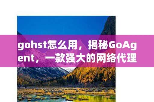 gohst怎么用，揭秘GoAgent，一款强大的网络代理工具使用指南
