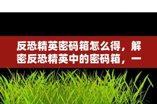 反恐精英密码箱怎么得，解密反恐精英中的密码箱，一场数字与策略的较量