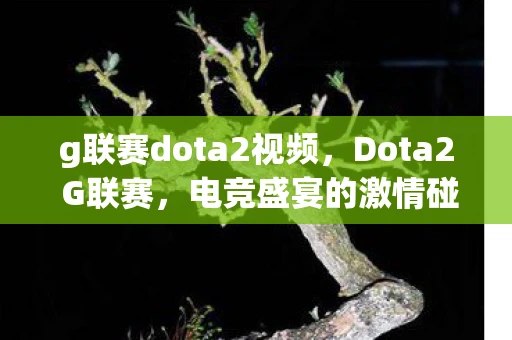 g联赛dota2视频，Dota2 G联赛，电竞盛宴的激情碰撞