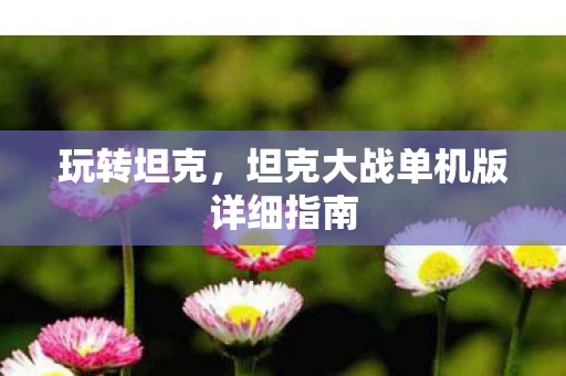 坦克大战单机版详细指南图片