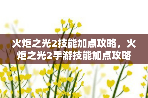 火炬之光2技能加点攻略，火炬之光2手游技能加点攻略，打造最强角色！