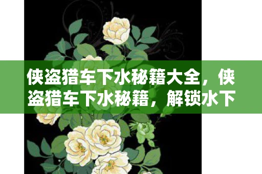 侠盗猎车下水秘籍大全，侠盗猎车下水秘籍，解锁水下探索的无限可能