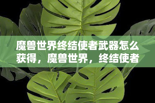 魔兽世界终结使者武器怎么获得，魔兽世界，终结使者的传奇