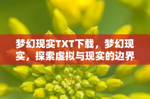 梦幻现实TXT下载，梦幻现实，探索虚拟与现实的边界