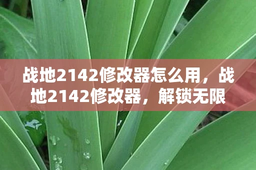 战地2142修改器怎么用，战地2142修改器，解锁无限可能的战争模拟