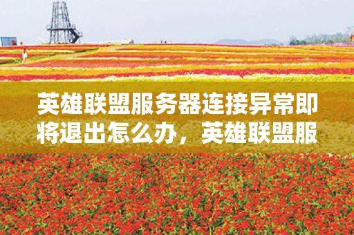 英雄联盟服务器连接异常即将退出怎么办，英雄联盟服务器连接异常，玩家们的困扰与解决方案