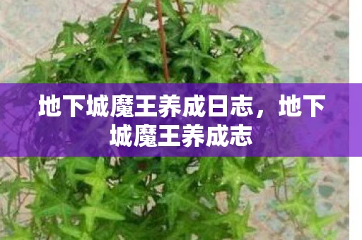 地下城魔王养成日志，地下城魔王养成志