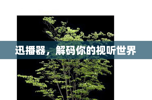 迅播器，解码你的视听世界