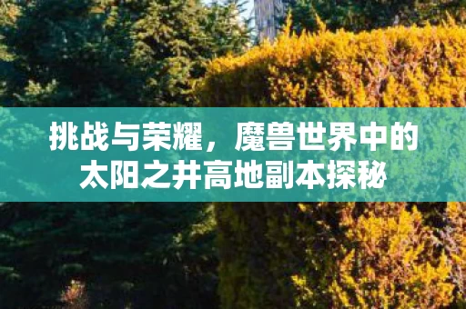 魔兽世界中的太阳之井高地副本探秘图片