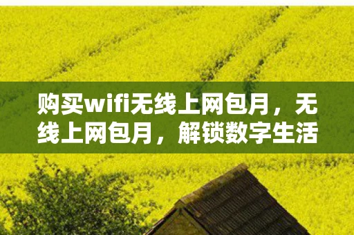 购买wifi无线上网包月，无线上网包月，解锁数字生活的无限可能