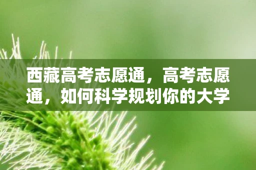 西藏高考志愿通，高考志愿通，如何科学规划你的大学选择