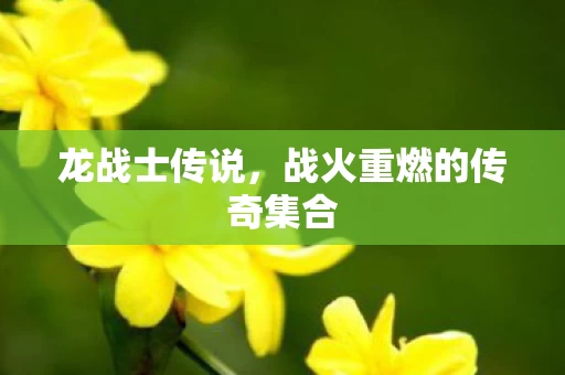 战火重燃的传奇集合图片