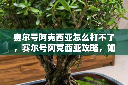 赛尔号阿克西亚怎么打不了，赛尔号阿克西亚攻略，如何击败这位强大的对手