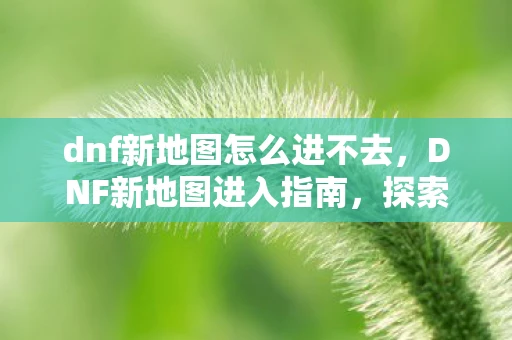 dnf新地图怎么进不去，DNF新地图进入指南，探索未知领域的冒险之旅