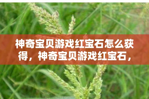 神奇宝贝游戏红宝石怎么获得，神奇宝贝游戏红宝石，探索宝石之国的奇幻之旅