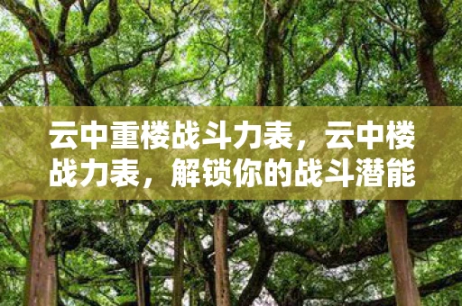 云中重楼战斗力表，云中楼战力表，解锁你的战斗潜能