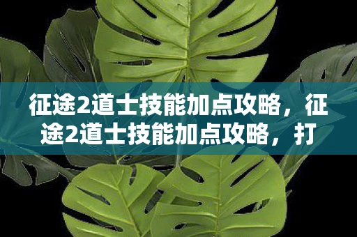 征途2道士技能加点攻略，征途2道士技能加点攻略，打造最强辅助与输出