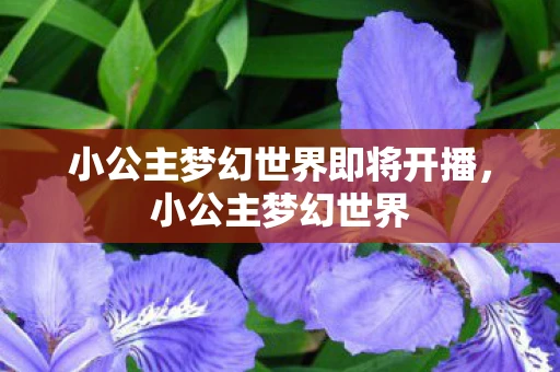 小公主梦幻世界即将开播，小公主梦幻世界