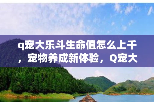 q宠大乐斗生命值怎么上千，宠物养成新体验，Q宠大斗生命洗刷刷