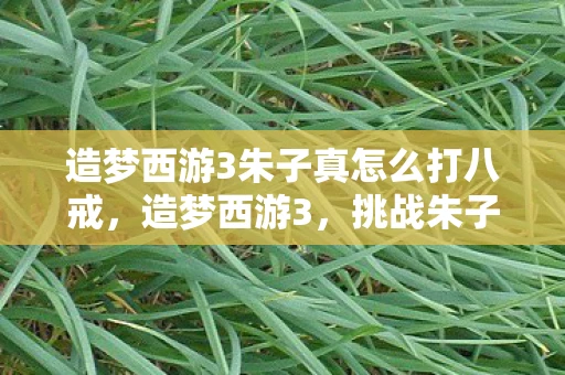 造梦西游3朱子真怎么打八戒，造梦西游3，挑战朱子真的攻略指南
