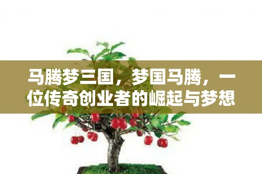 马腾梦三国，梦国马腾，一位传奇创业者的崛起与梦想