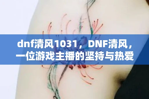 dnf清风1031，DNF清风，一位游戏主播的坚持与热爱