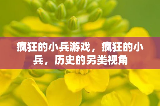 疯狂的小兵游戏，疯狂的小兵，历史的另类视角