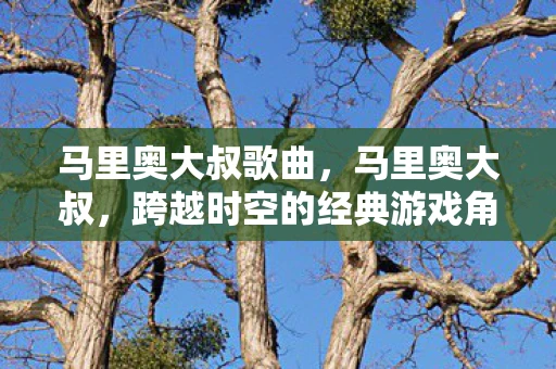 马里奥大叔歌曲，马里奥大叔，跨越时空的经典游戏角色