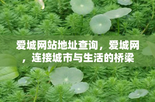 爱城网站地址查询，爱城网，连接城市与生活的桥梁
