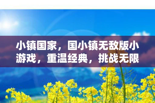 小镇国家，国小镇无敌版小游戏，重温经典，挑战无限