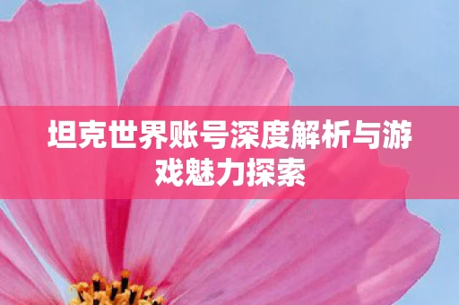 坦克世界账号深度解析与游戏魅力探索图片