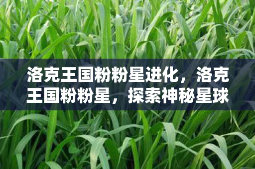 洛克王国粉粉星进化，洛克王国粉粉星，探索神秘星球的奇妙之旅