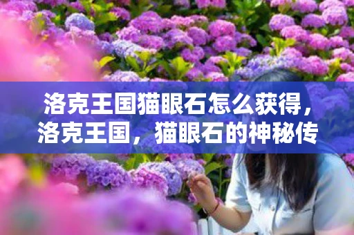 洛克王国猫眼石怎么获得，洛克王国，猫眼石的神秘传说