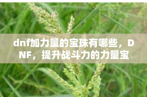 dnf加力量的宝珠有哪些，DNF，提升战斗力的力量宝珠全解析