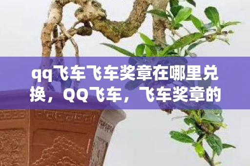 qq飞车飞车奖章在哪里兑换，QQ飞车，飞车奖章的荣耀与梦想