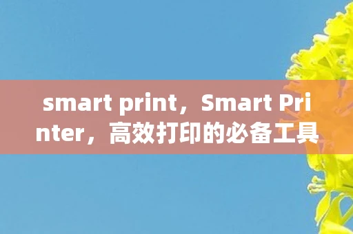 smart print，Smart Printer，高效打印的必备工具