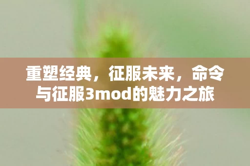 命令与征服3mod的魅力之旅图片