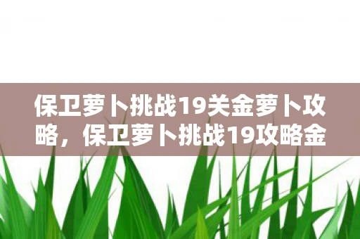 保卫萝卜挑战19关金萝卜攻略，保卫萝卜挑战19攻略金萝卜布阵图