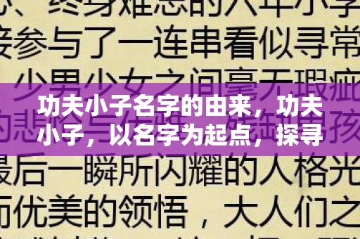 功夫小子名字的由来，功夫小子，以名字为起点，探寻武术之魂