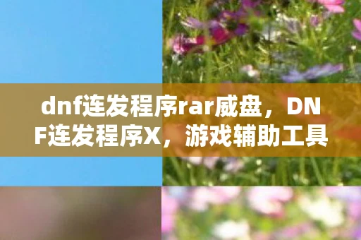 dnf连发程序rar威盘，DNF连发程序X，游戏辅助工具还是作弊软件？