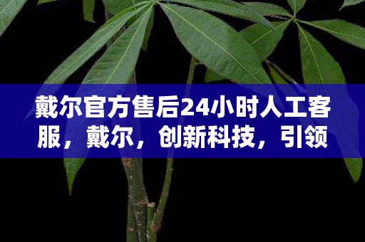 戴尔官方售后24小时人工客服，戴尔，创新科技，引领未来