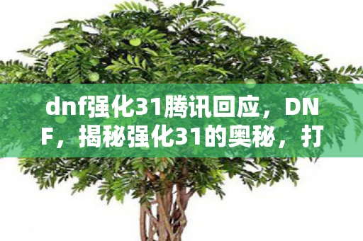 dnf强化31腾讯回应，DNF，揭秘强化31的奥秘，打造最强装备！