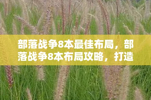 部落战争8本最佳布局，部落战争8本布局攻略，打造无敌防御，守护你的部落荣耀