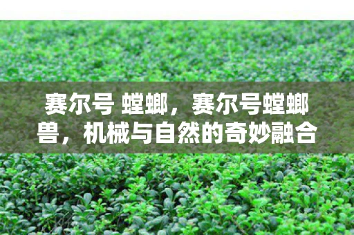 赛尔号 螳螂，赛尔号螳螂兽，机械与自然的奇妙融合