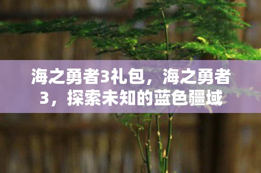 海之勇者3礼包，海之勇者3，探索未知的蓝色疆域