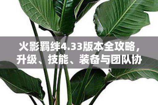 33版本全攻略图片